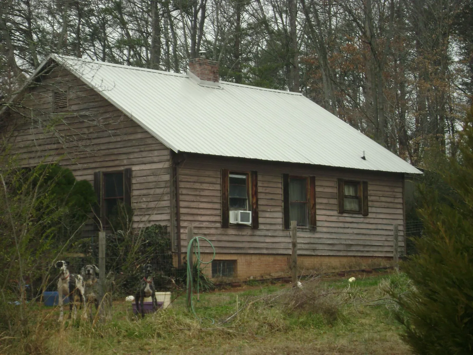White metal roof on an old wood sided farmhouse, from a Asphalt Shingle Roof Repair job in Morral